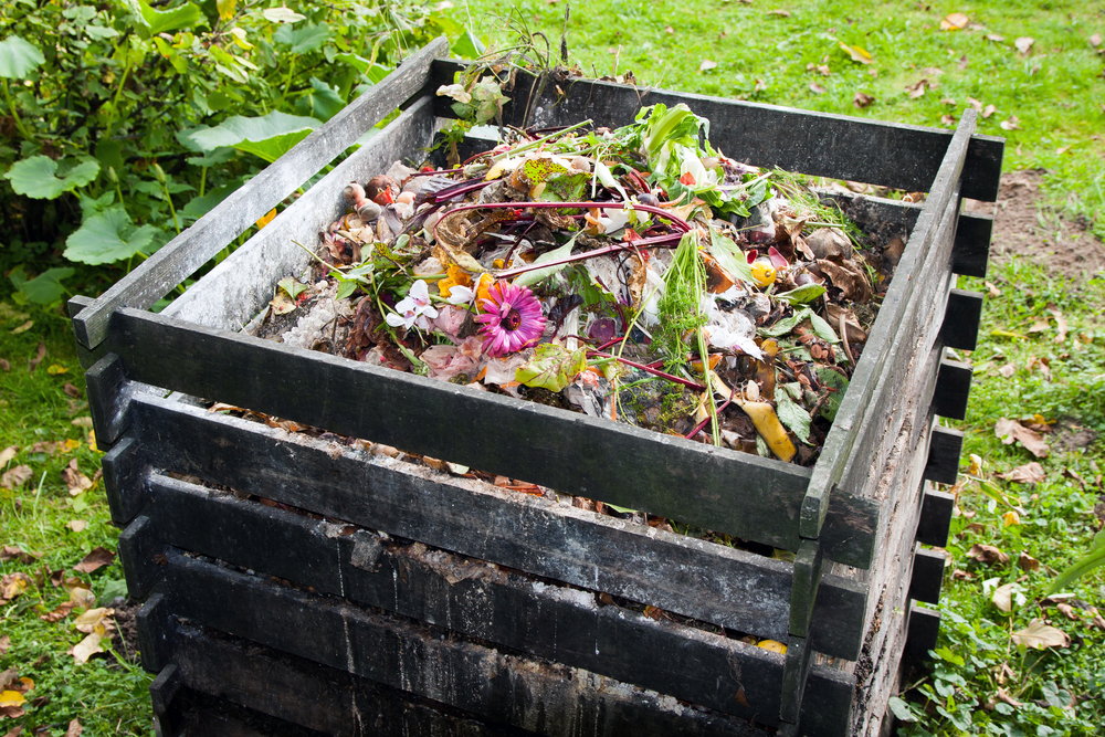 Kompost i jego magiczne właściwości